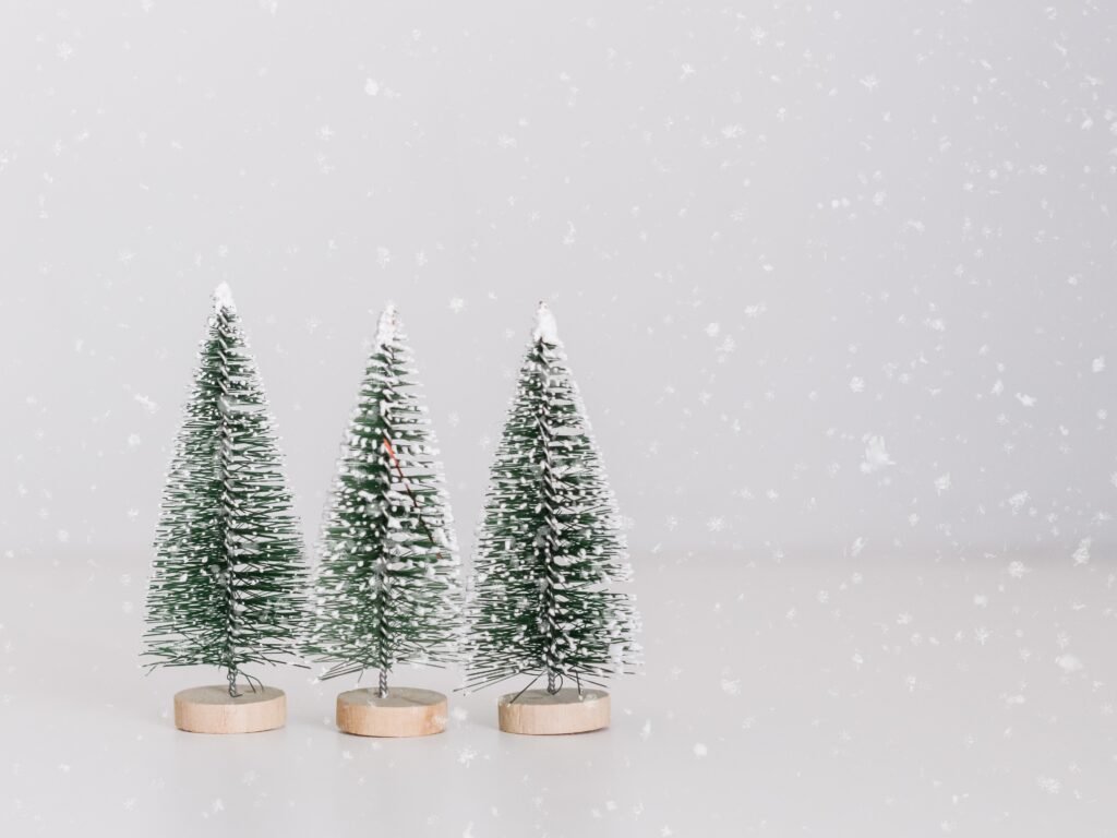 Holiday Greetings