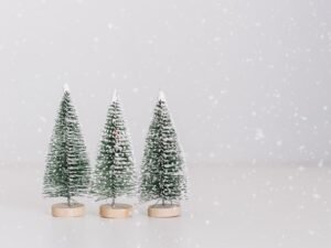 Holiday Greetings